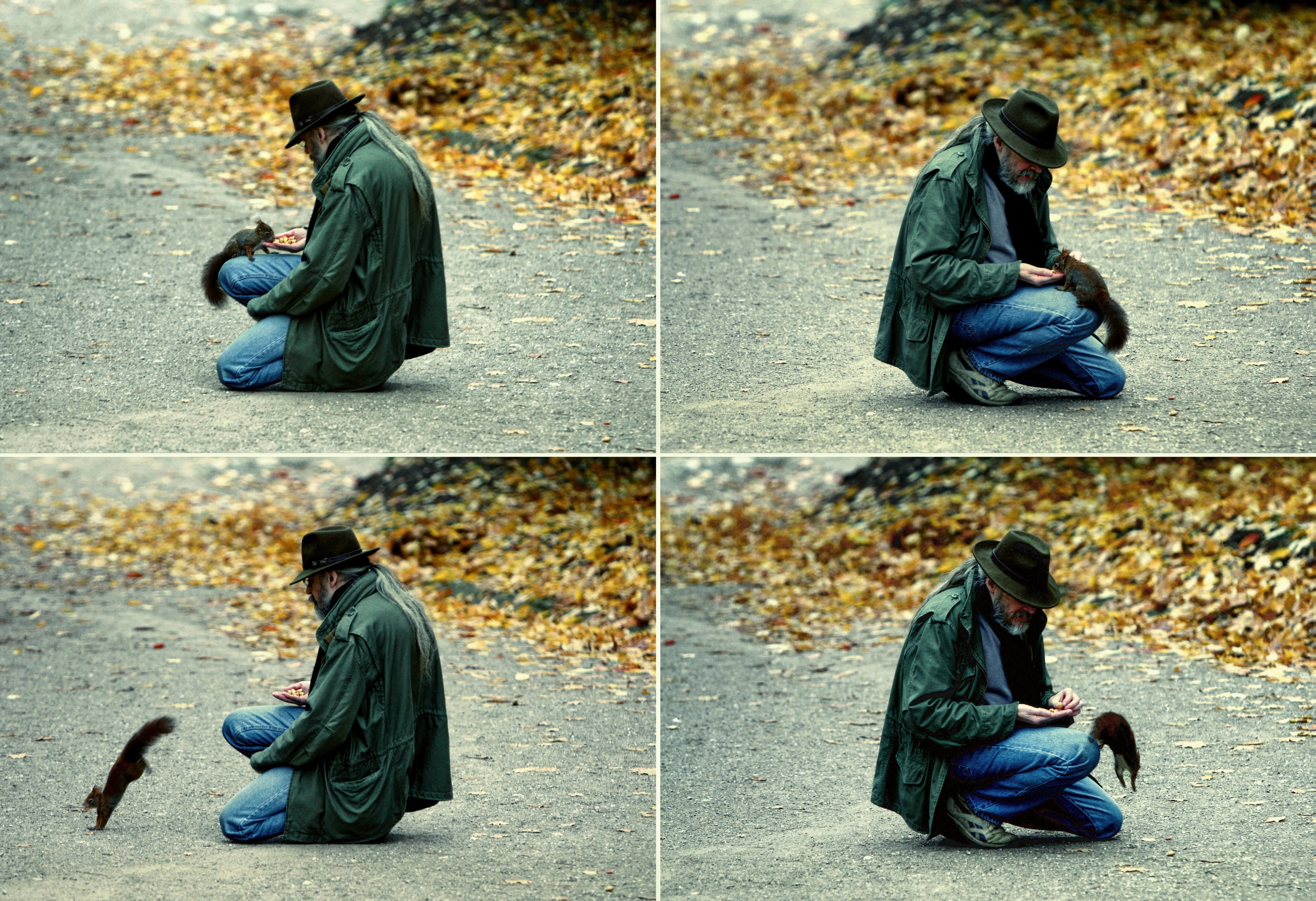 A man feeding squirrels at the Schönbrunn Palace and Gardens in Vienna, Austria.